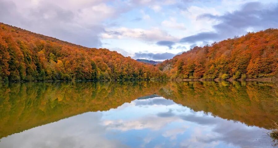 电商税落地主要整治家电低价内卷